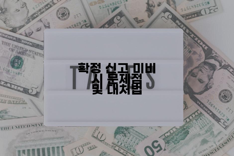 확정 신고 미비 시 문제점 및 대처법