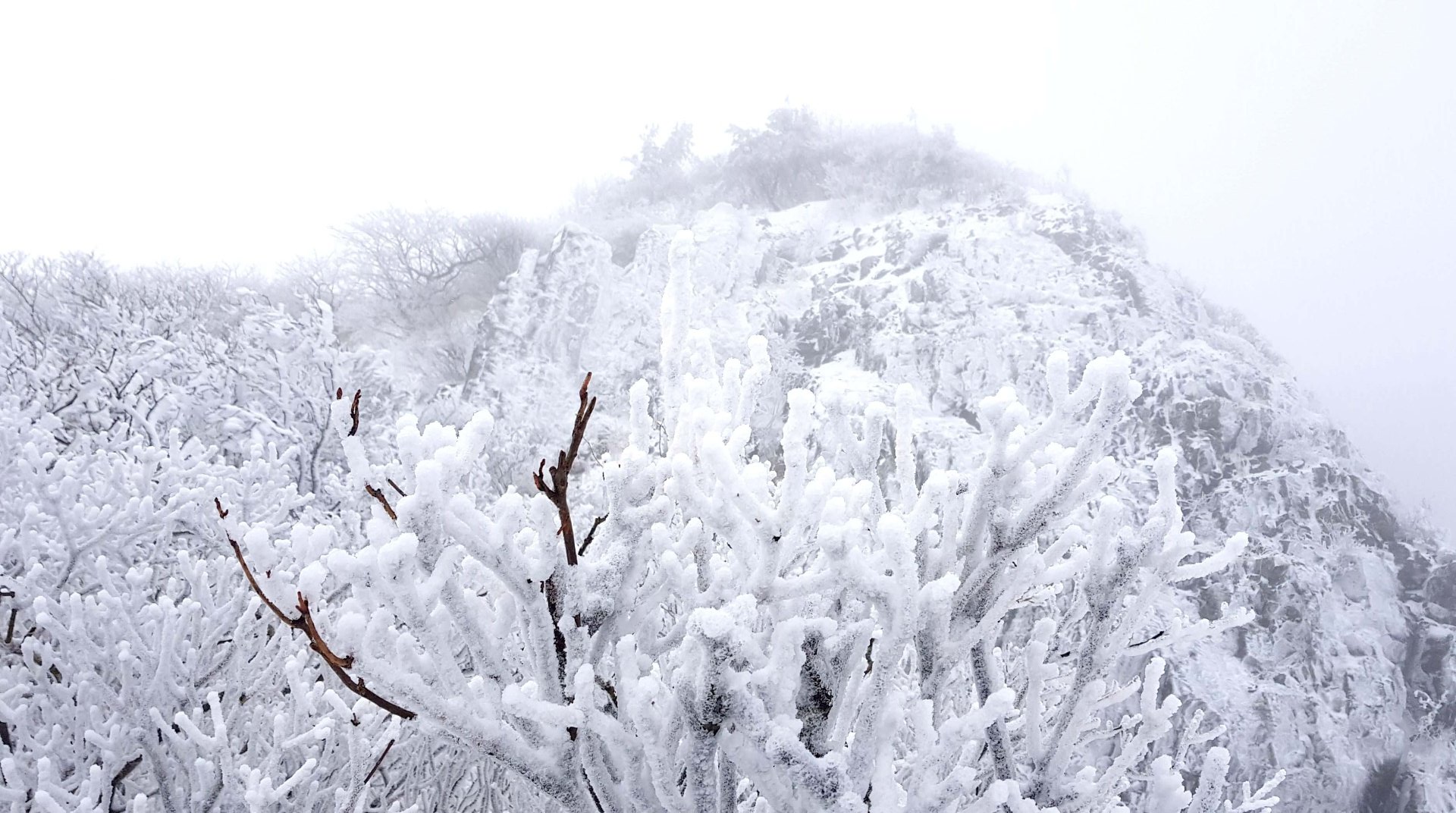 울산 가지산 설경