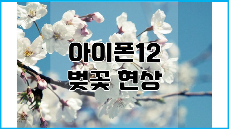  아이폰 12 벚꽃 현상, 디스플레이 불량
