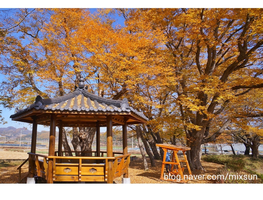 단풍구경 가볼만한 곳 괴산 가볼만한곳 단풍구경 가볼만한 곳 괴산 가볼만한곳