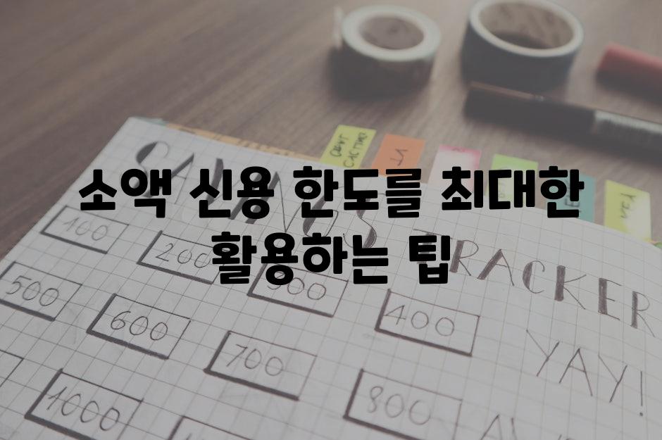 소액 신용 한도를 최대한 활용하는 팁