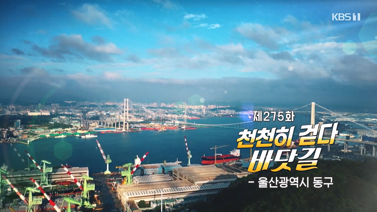 동네 한 바퀴.E278.240616p-NEXT.mp4_20240616_161329.922.jpg