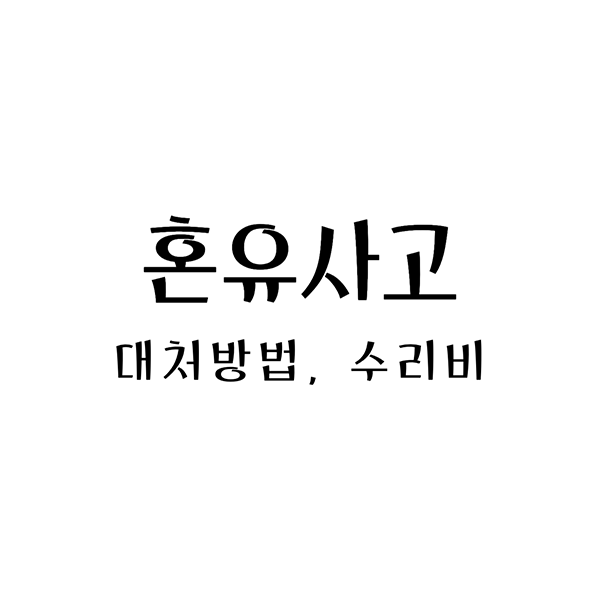  자동차 혼유사고 수리비, 대처방법