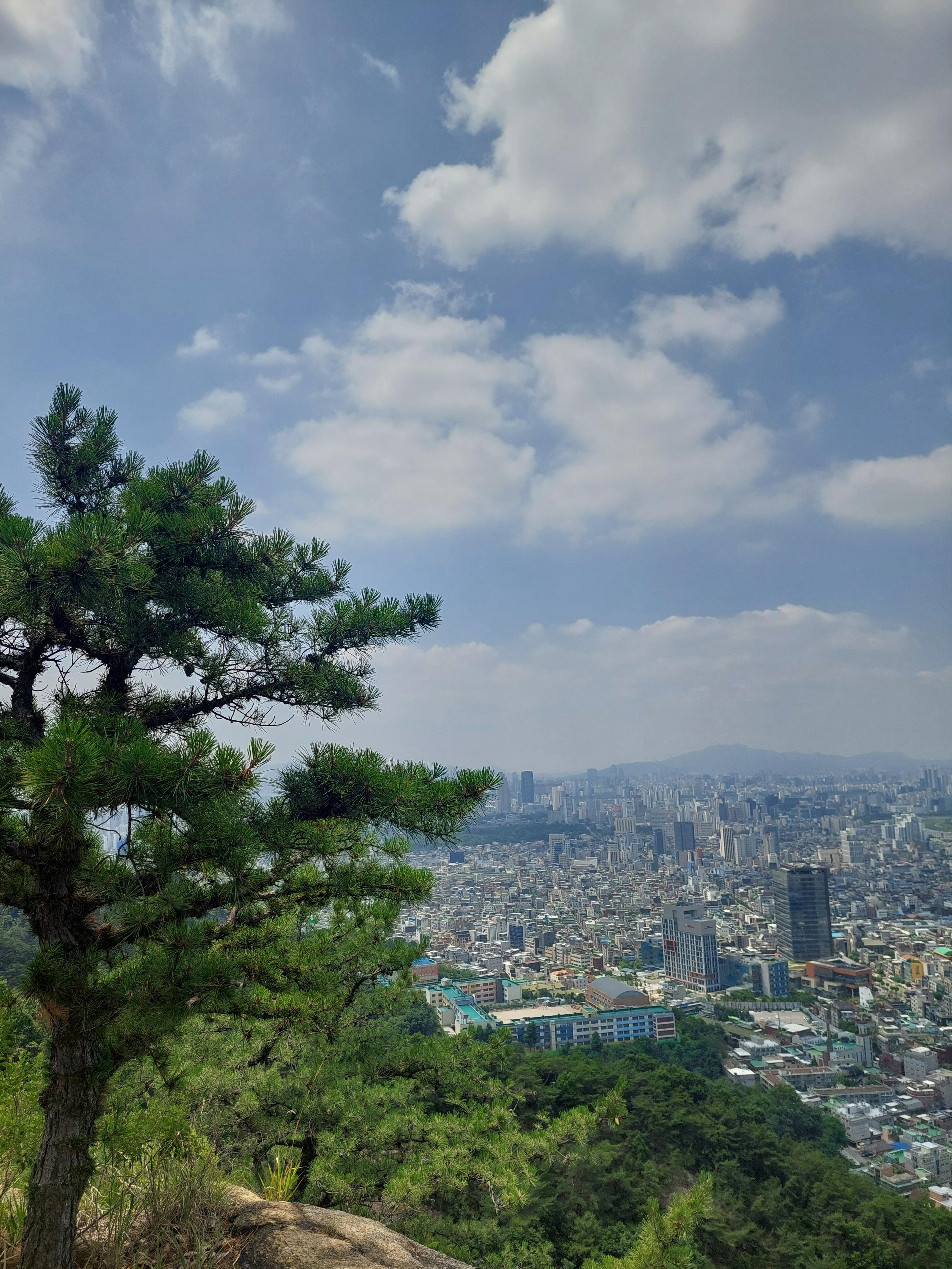 용마산아차산