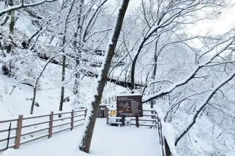 겨울 춘천 가볼만한곳 베스트10 현지인 추천 필수코스_19