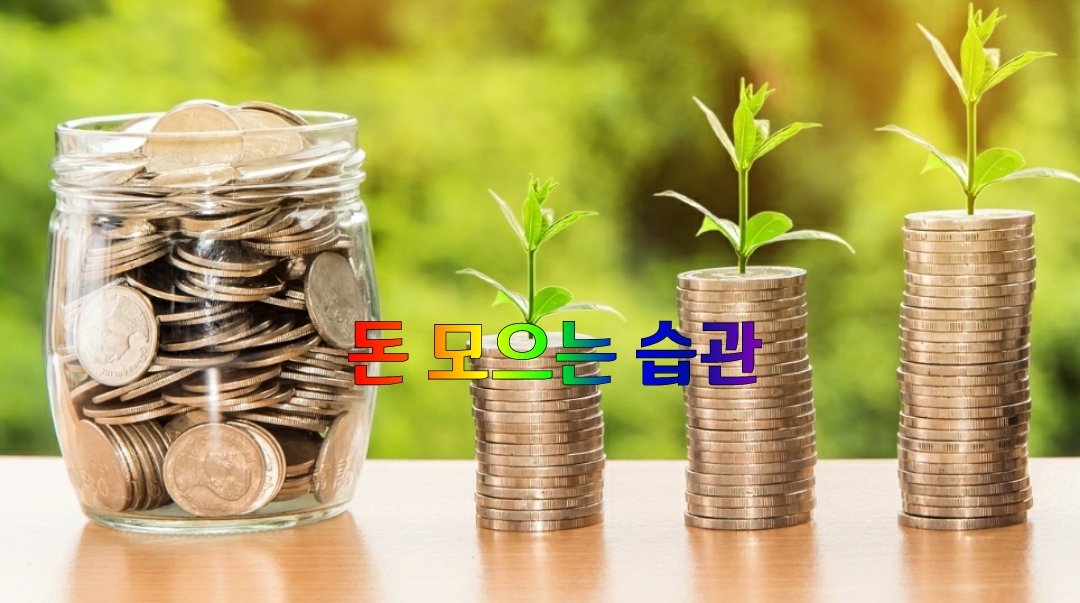  돈을 모으는 습관과 금전운을 열어주는 1억짜리 분재 소개합니다