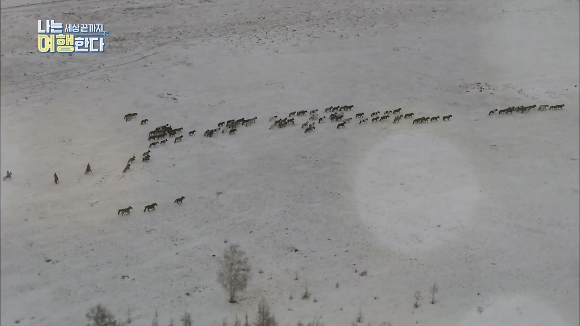 설 특집 나는 세상끝까지 여행한다.240211p.H264-F1RST.mp4_20240213_203531.778.jpg