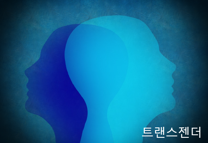  트랜스젠더 커밍아웃 뜻