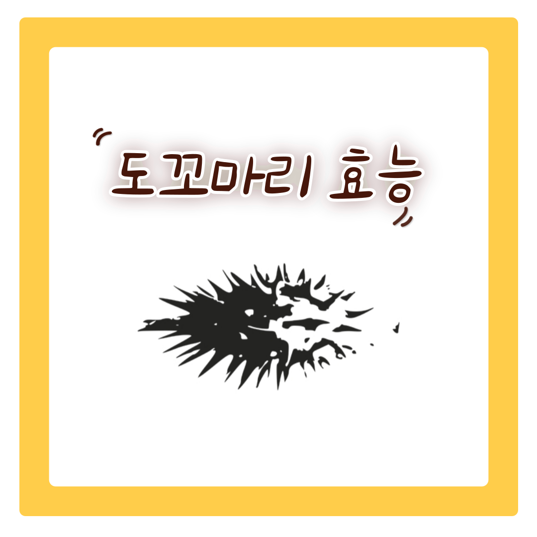  도꼬마리 효능 및 먹는법 부작용 알아보기