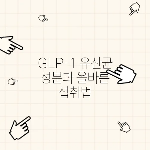 GLP-1 유산균 성분과 올바른 섭취법