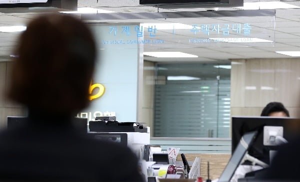  DSR 강화 피하려면…초장기·제 2금융권 알아보는 수 밖에