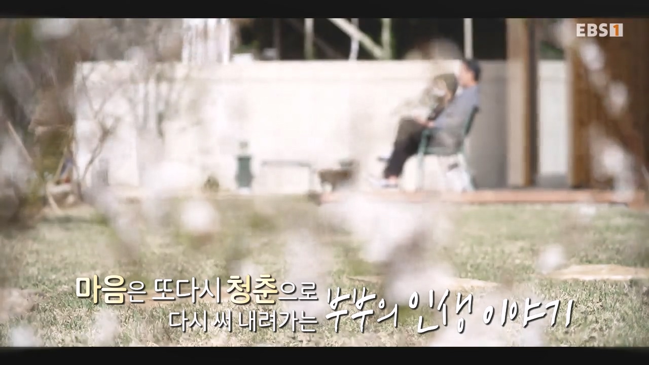 TV - 전 국민의 평생학교 EBS황혼에서 신혼으로, 부부애를 꽃 피우는 집.mp4_20231011_200352.699.jpg