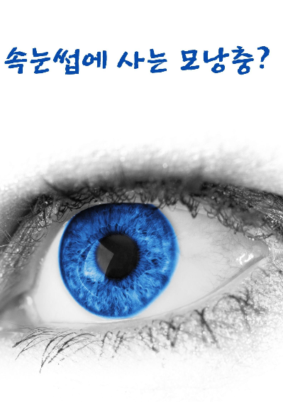  속눈썹에 사는 모낭충?