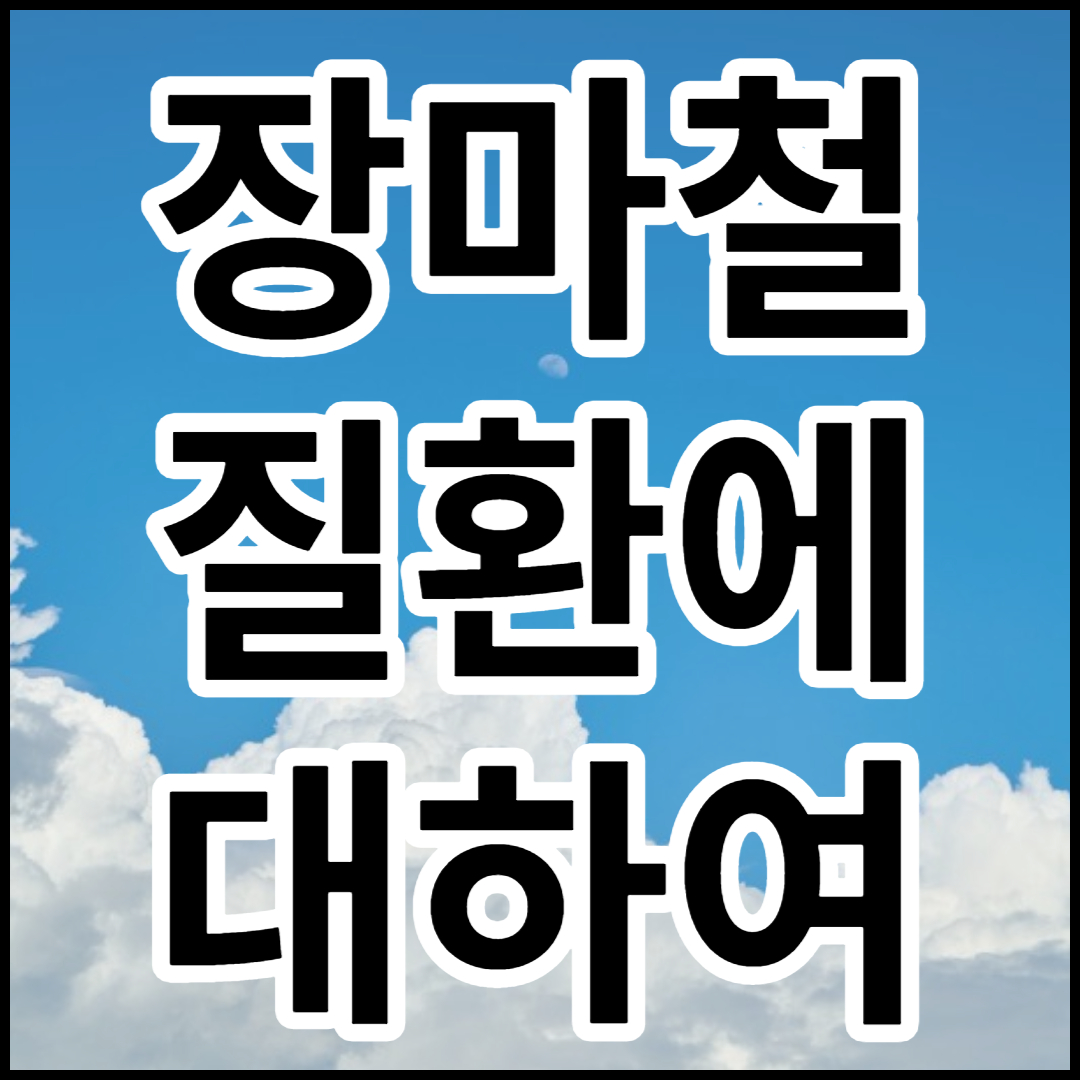  [장마철  질환에 대하여]종류 및 특징