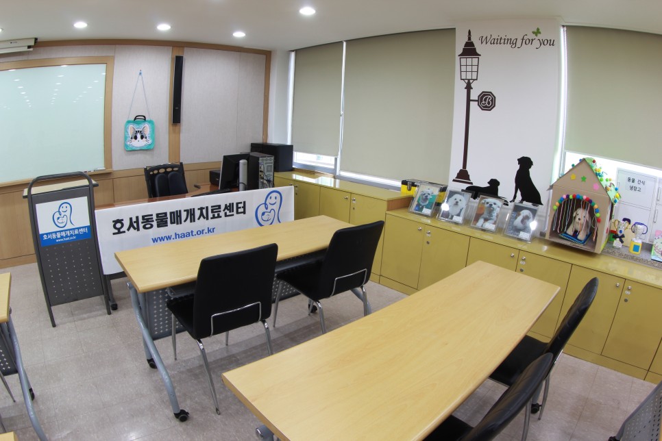 학과 정보를 알아보자! 동물보건복지학과 전망 및 1