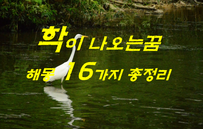  학꿈 해몽 16가지 총정리