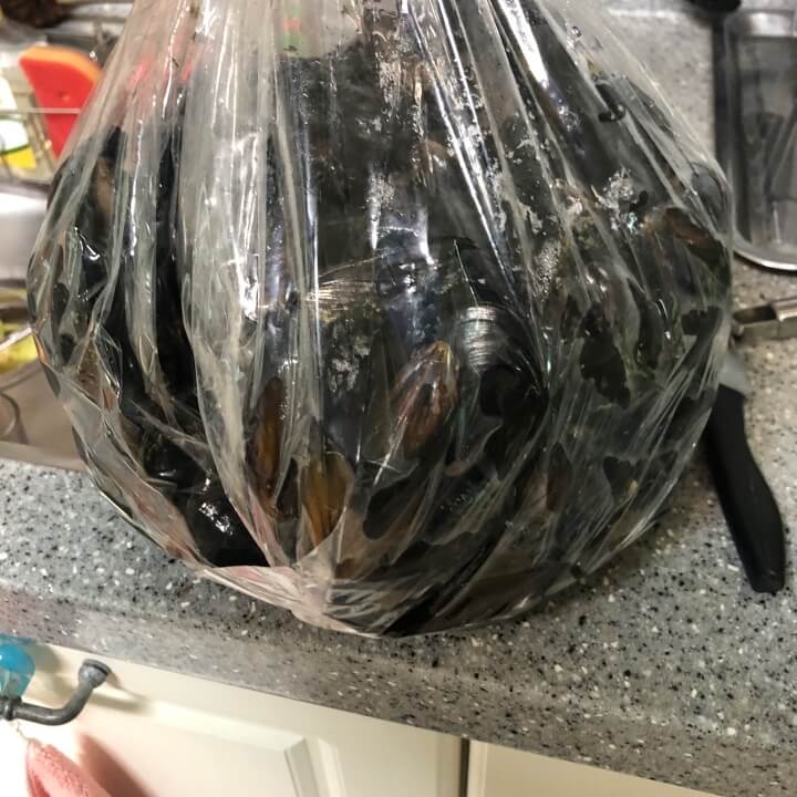  홍합 손질 탕 끓이는 법