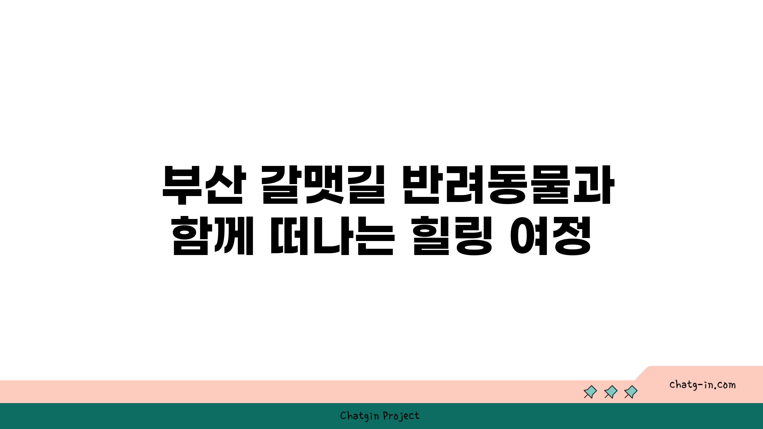  부산 갈맷길 반려동물과 함께 떠나는 힐링 여정