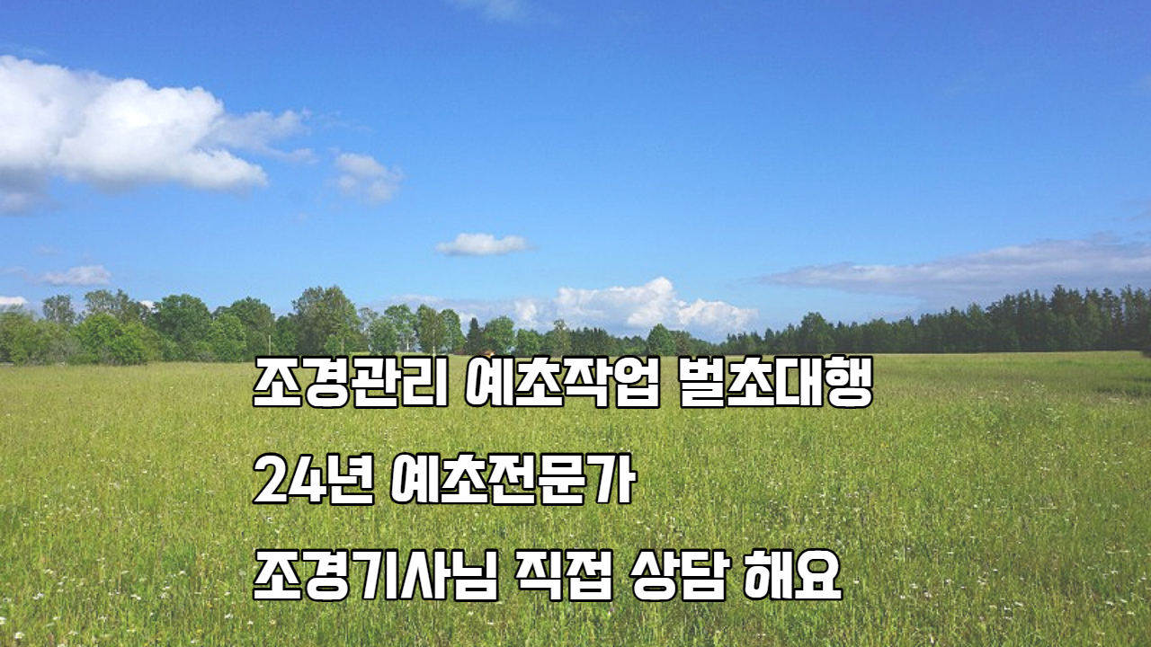  대구 풀베기 예초작업 벌초대행 합니다