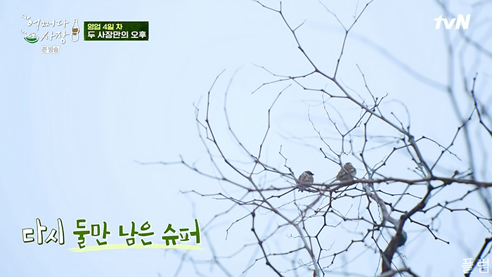  [힐링/장사] 210325 어쩌다 사장 5화 - 2