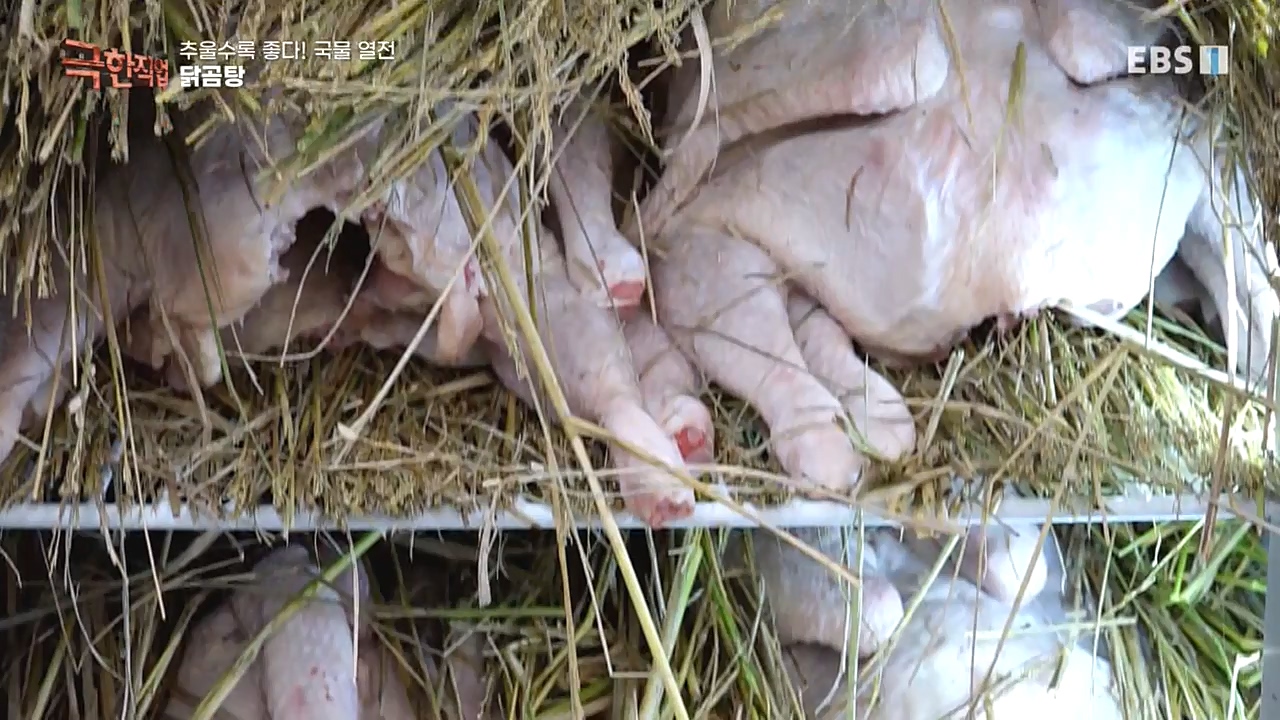 [극한직업] 추울수록 좋다! 국물 열전.221023p.avi_20221027_194635.023.jpg