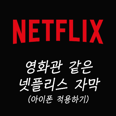  영화관 같은 자막 넷플릭스에서도 보자!(아이폰, 아이패드 자막 바꾸기)