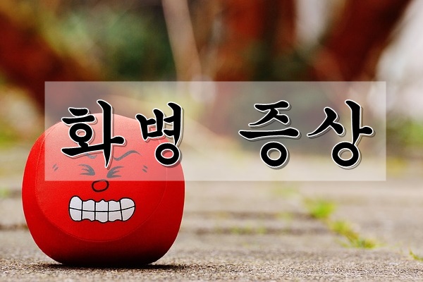  화병 증상