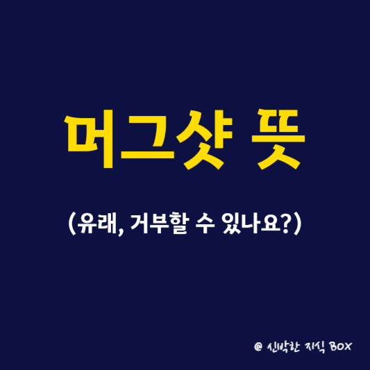 머그샷 뜻 간단정리(유래&#44; 거부할 수 있나요)