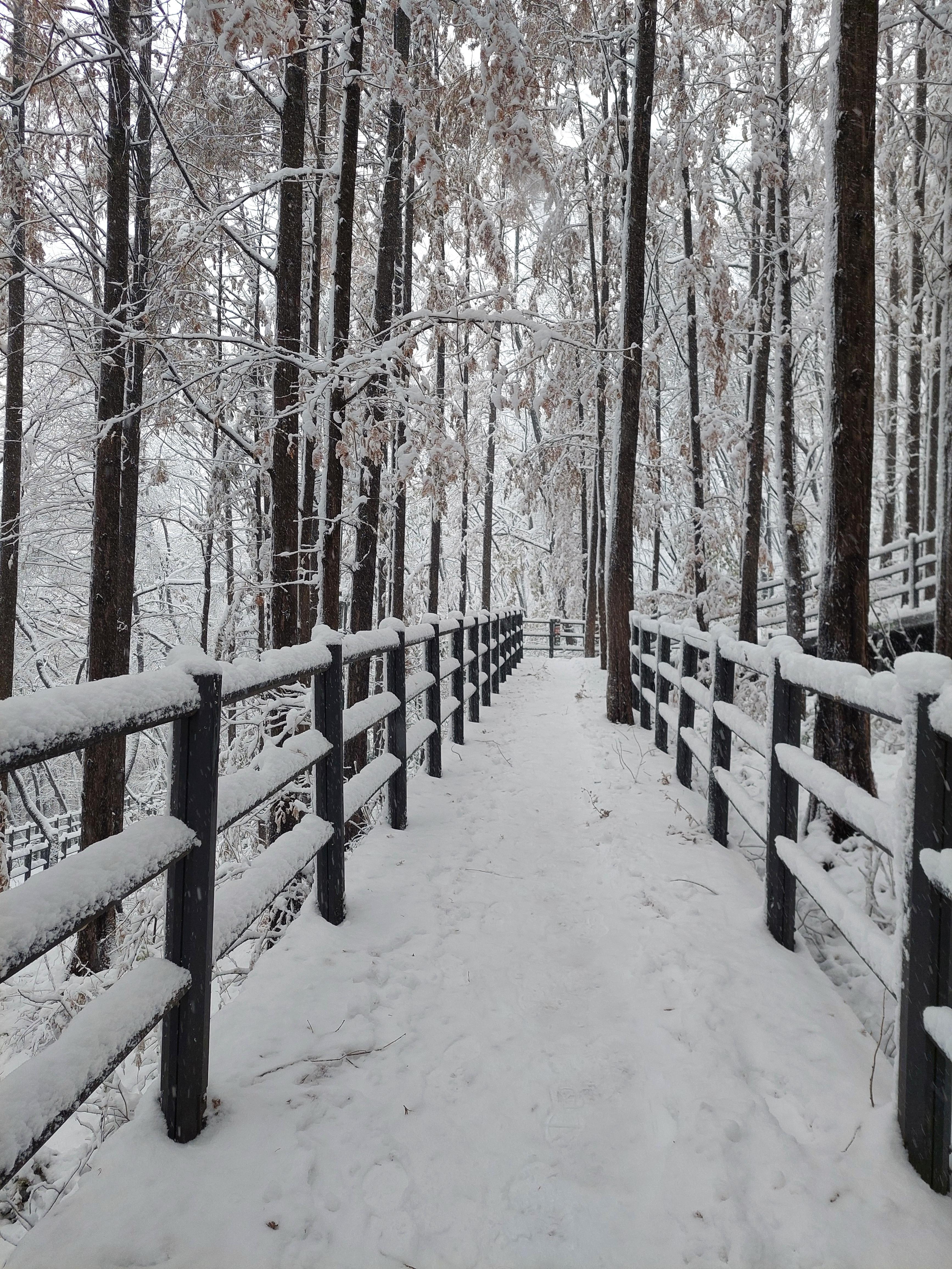 백련산안산