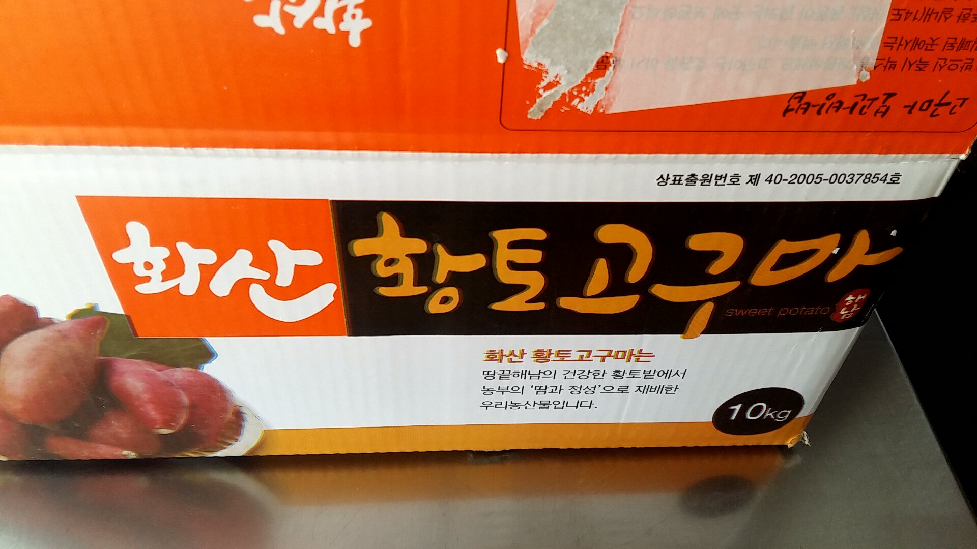 고구마 싹, 싹난 고구마 그냥 먹어도 될까? 화산 황토고구마 칼로리 및 고구마 효능 후기 고구마 싹, 싹난 고구마 그냥 먹어도 될까? 화산 황토고구마 칼로리 및 고구마 효능 후기