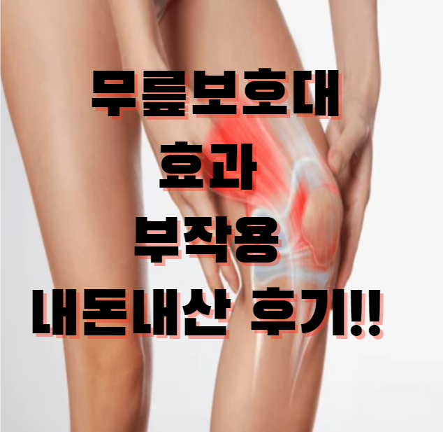  무릎관절 보호대  발목보호대 효과 부작용 내돈내산 추천