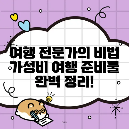 여행 전문가의 비법 가성비 여행 준비물 완벽 정리!