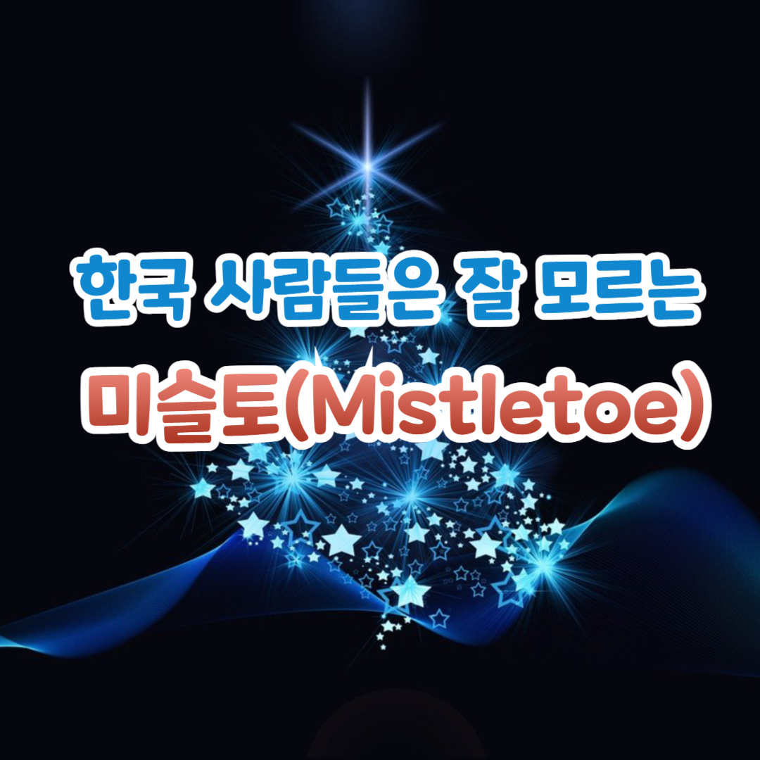 미슬토 썸네일