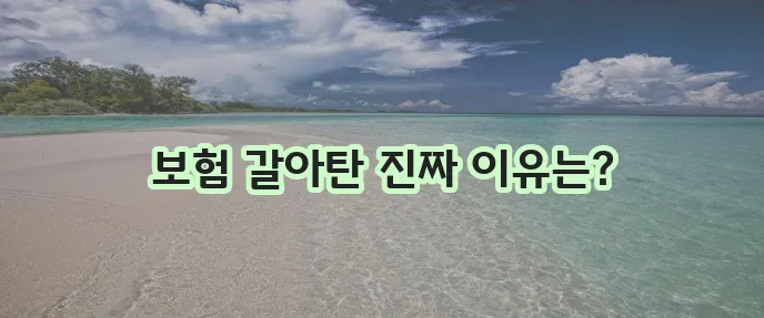 삼성 화재 다이렉트에서 DB 다이렉트로 갱신한 후기