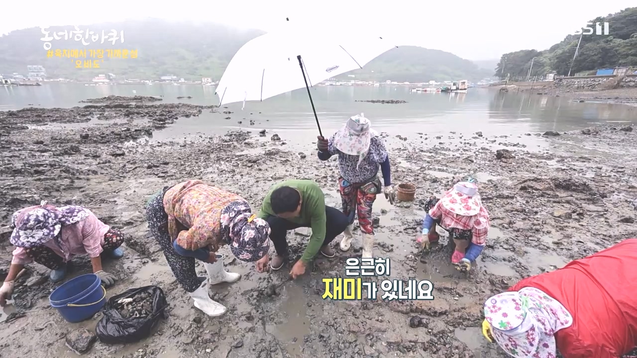 동네 한 바퀴.E243.231015p-NEXT.mp4_20231015_184158.971.jpg