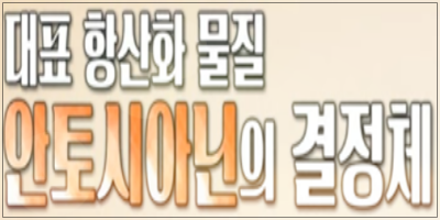 대표 항산화 음식은 아로니아