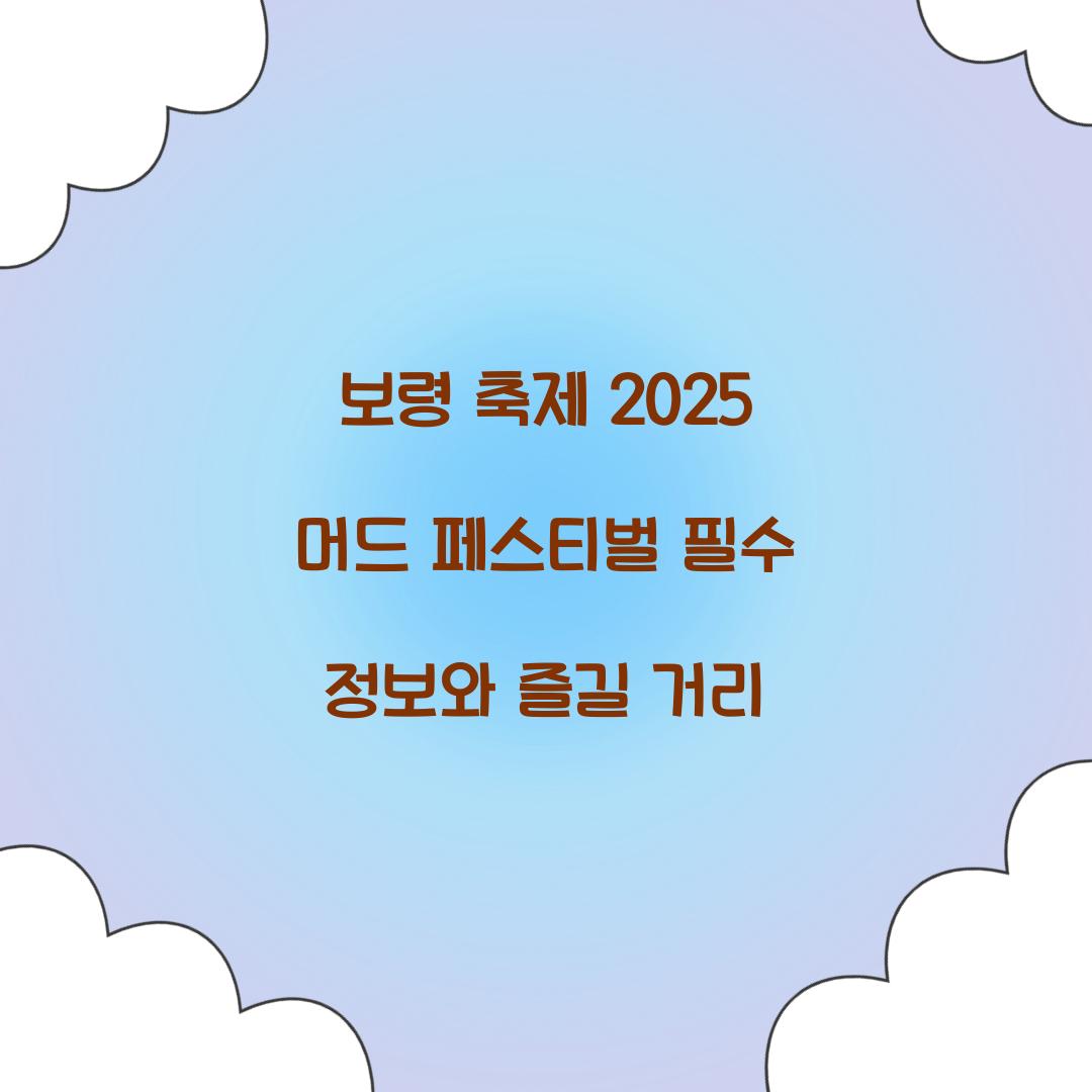 보령 축제 2025 머드 페스티벌