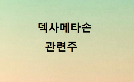  덱사메타손 관련주총정리