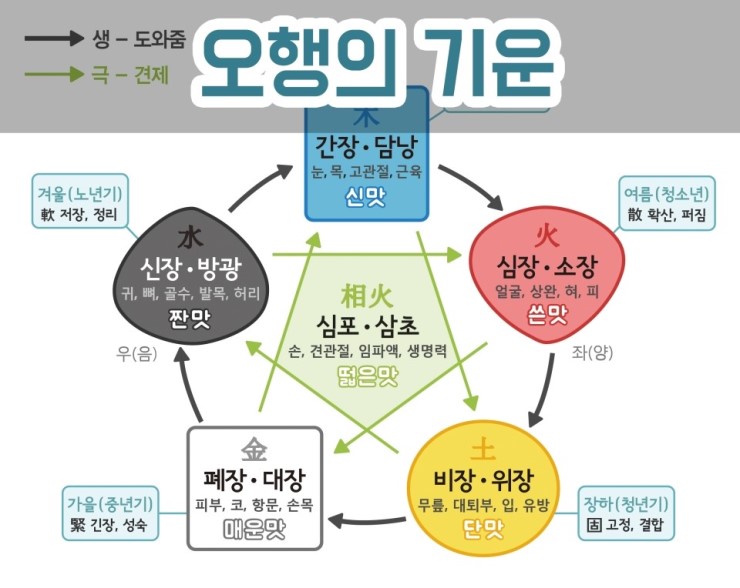  사주팔자(四柱八字)와 음양오행(陰陽五行)이란?