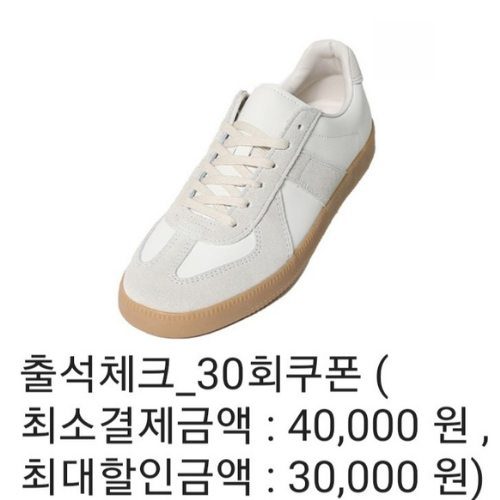  힙합퍼 4만원 미만 상품에 50% 쿠폰 적용하는 방법 (feat. 다온아토 독일군)