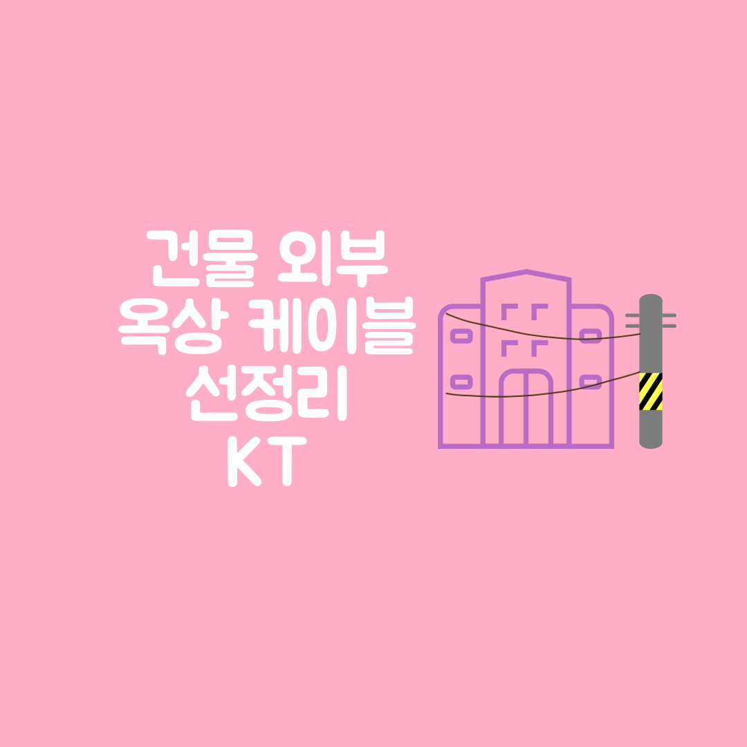 건물 외부 옥상 케이블 인터넷 선정리 (KT)