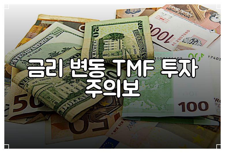 금리 변동 TMF 투자 주의보