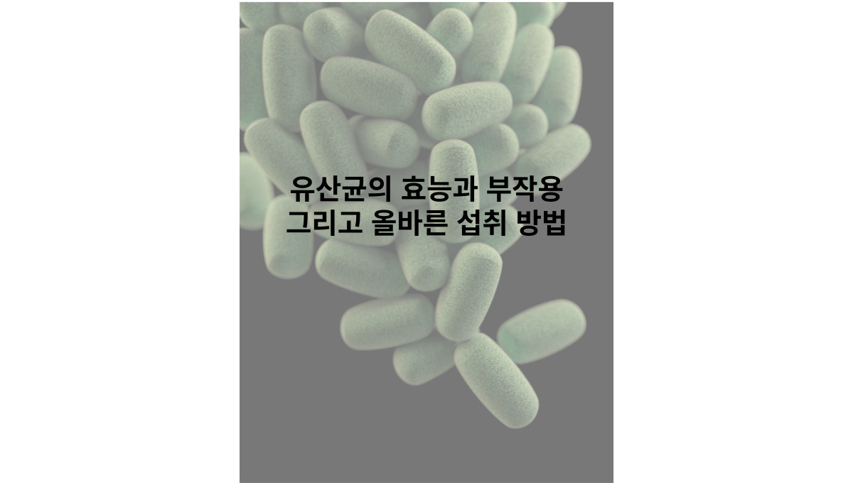 유산균의 효능과 부작용 그리고 올바른 섭취 방법