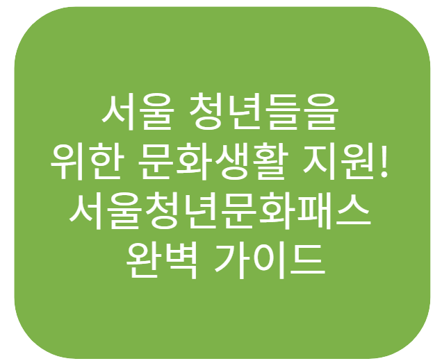 서울청년문화패스