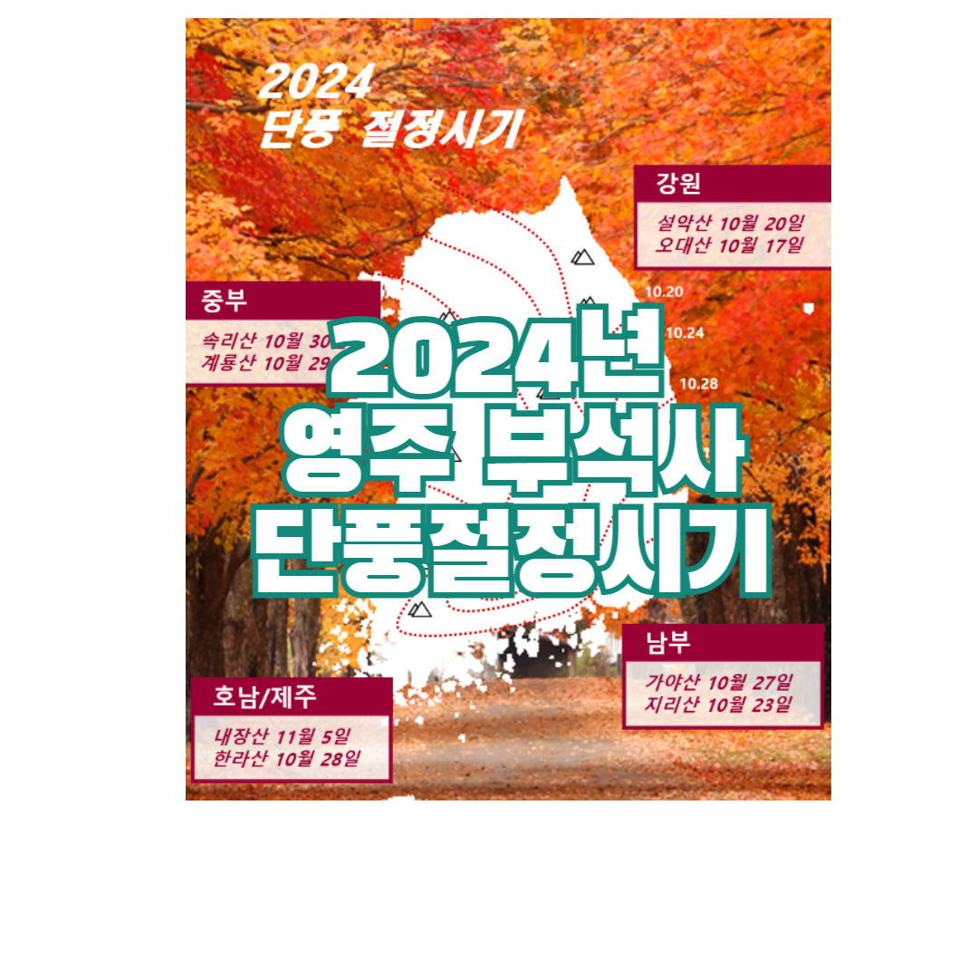 2024년 영주 부석사 단풍절정시기