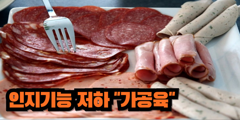 인지기능 저하