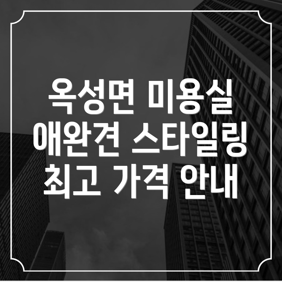 애완견 미용실