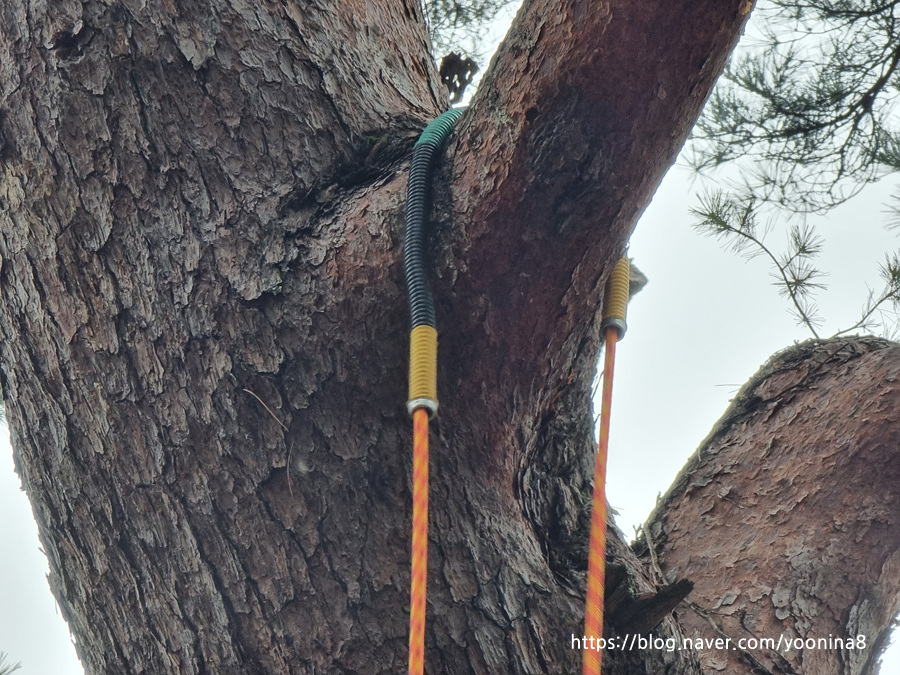 클라이밍 충남교육청 청소년지도사 10
