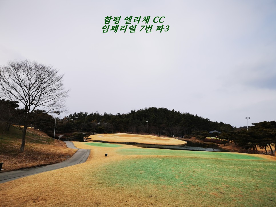 마제스티 1박2일 함평 엘리체CC 68