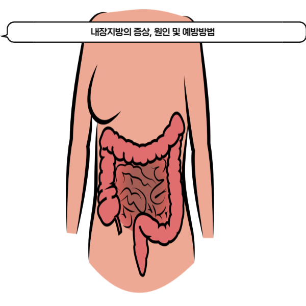  복부 비만의 주요 원인인 내장지방의 증상, 원인 및 예방방법